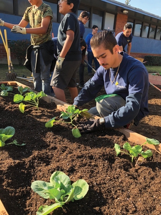 Enactus Alcott Elementary School