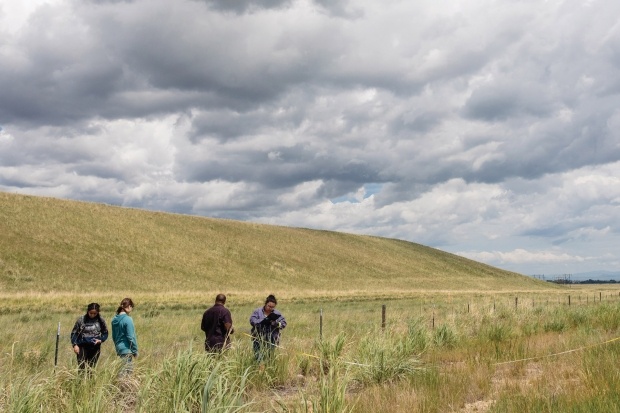 Bob and Mary Neher Field Station