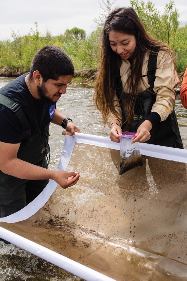 Students collect aquatic insect and water samples from Silverbow Creek for joint biology and chemistry senior projects.