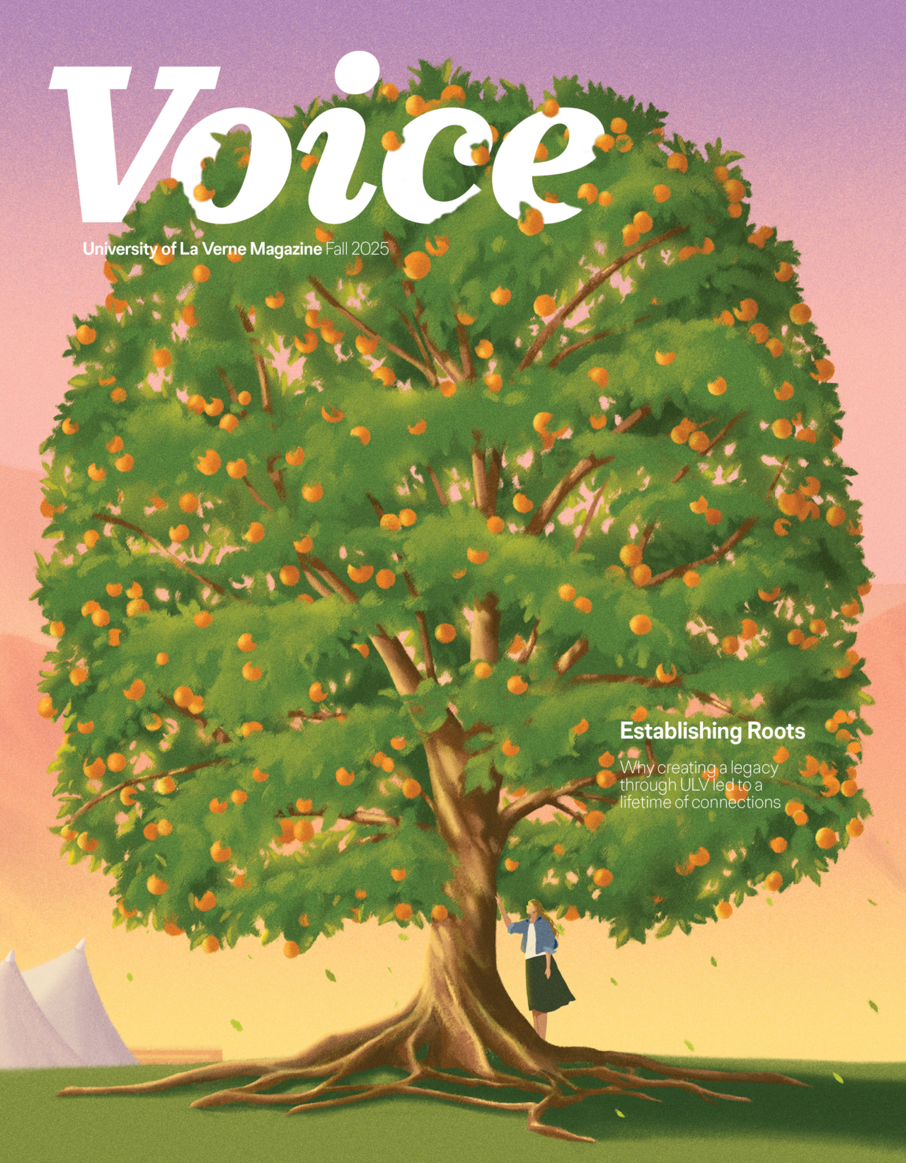 2025 Fall - Voice Cover